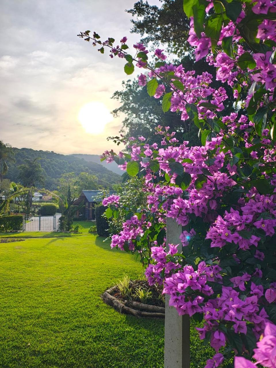 山林小屋 E Restaurante Casa Cida E Evandro